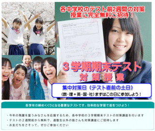 kimastu taisaku nittei yodazemi.GIF